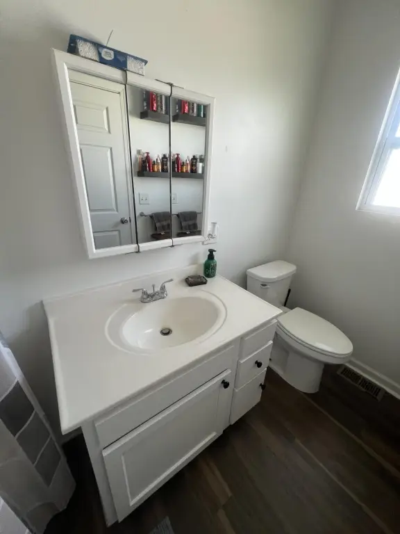 Picture 43