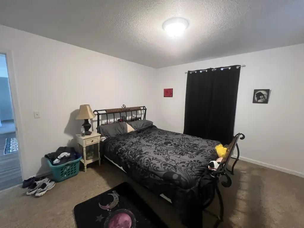 Picture 21