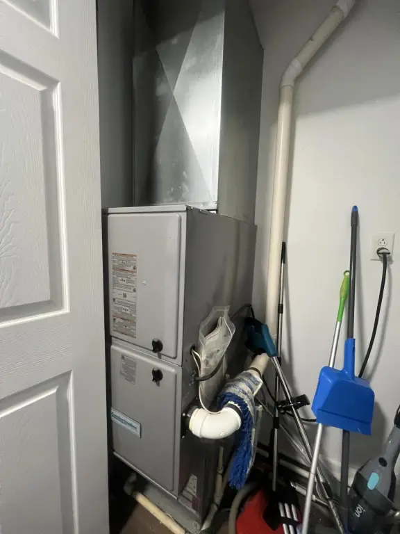 Picture 28