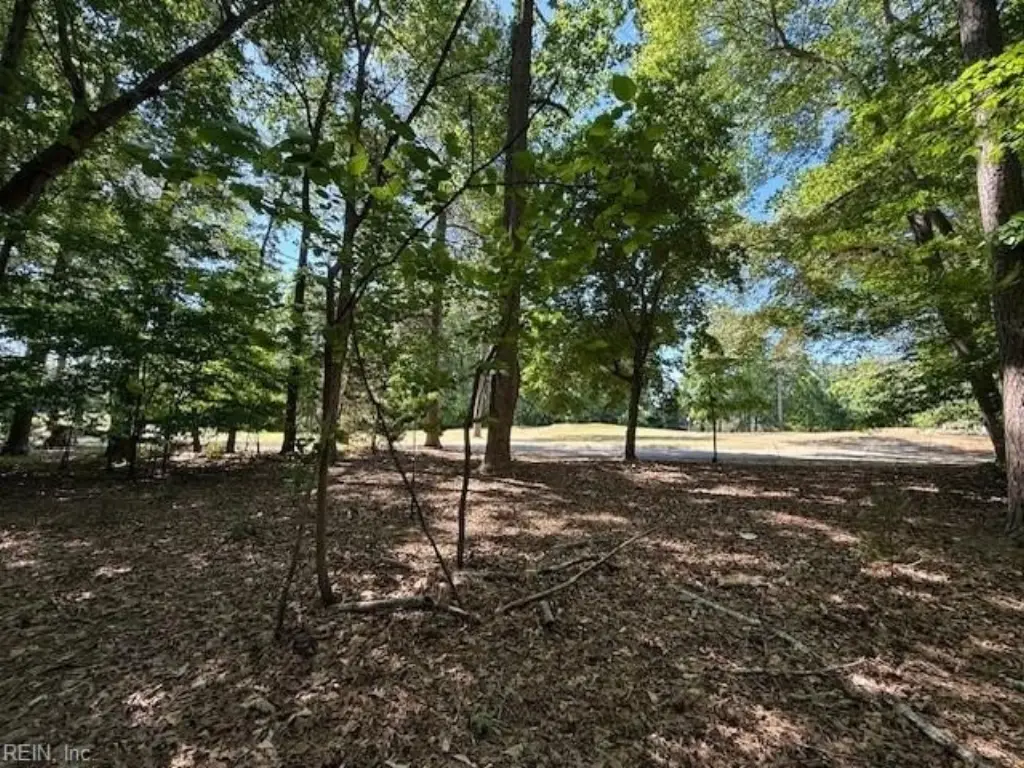 Picture 5