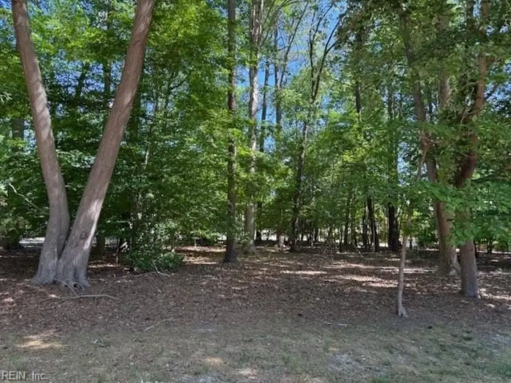 Picture 2