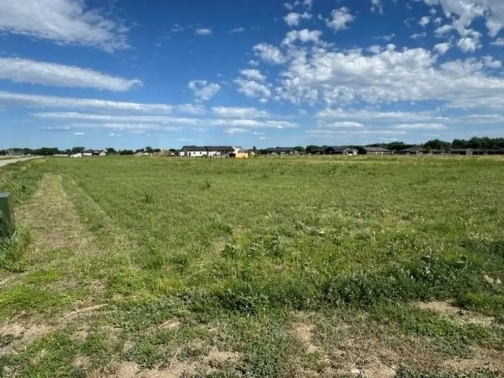 Picture 2