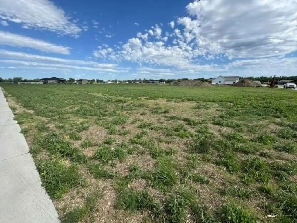 Picture 4