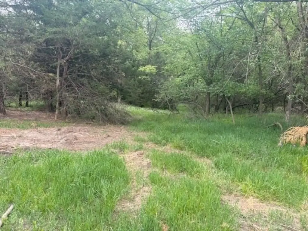 Picture 8