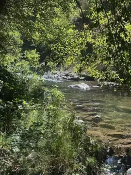 Land with Creek Frontage