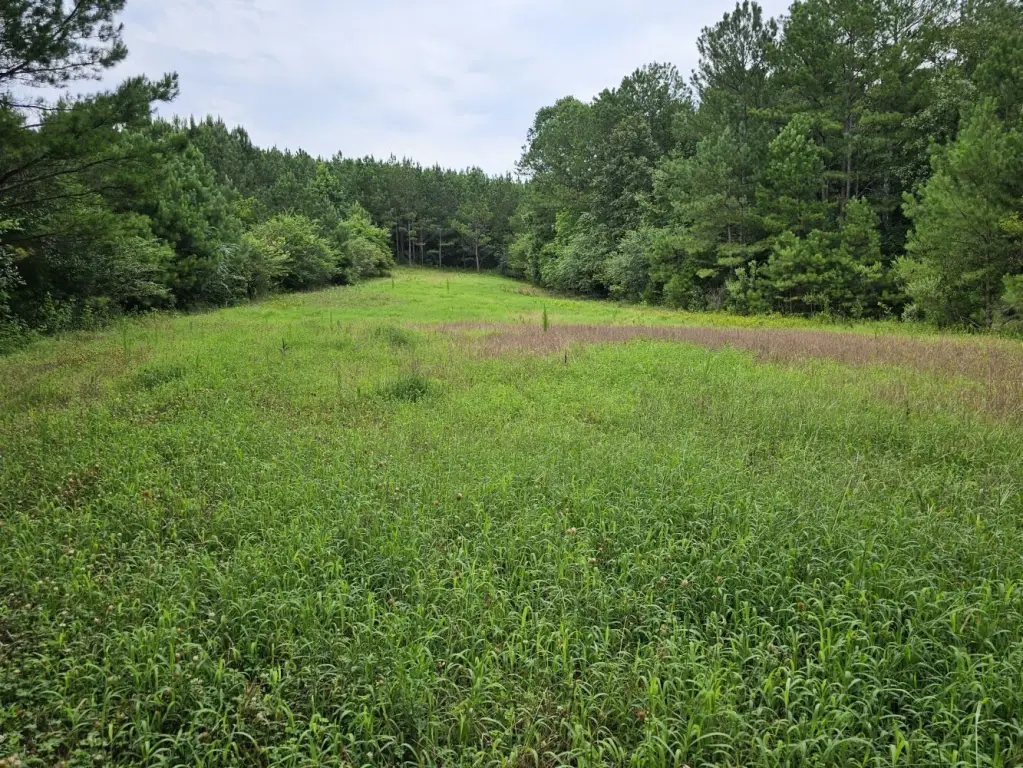 Picture 4