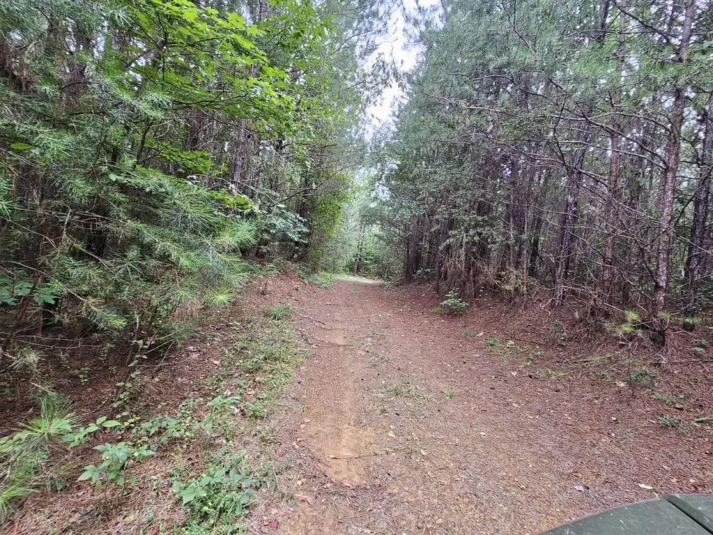 Picture 15