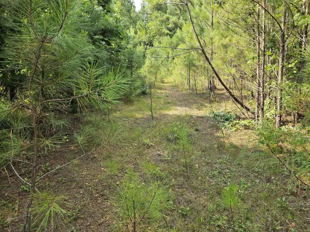 Picture 2