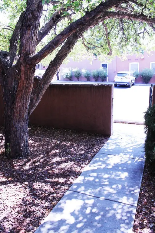 Picture 16