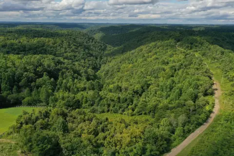 Recreation Land with Stream Frontage