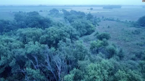 Agricultural Land