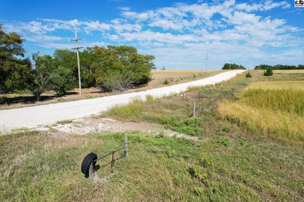 Picture 16