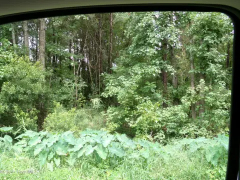 Land in Fair Bluff, NC