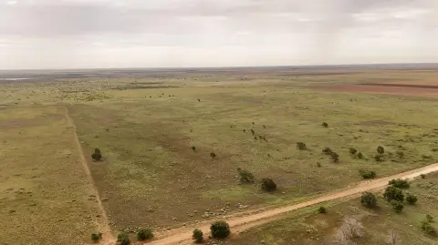 Expansive Acreage in Brownfield, TX