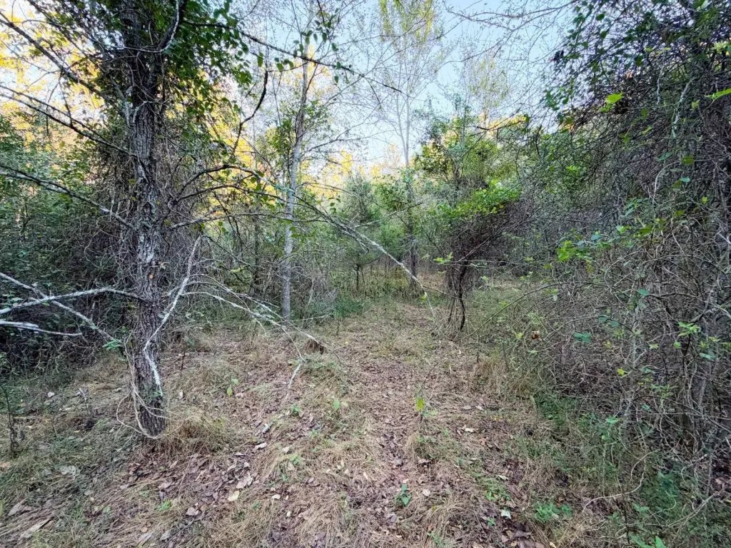 Picture 44