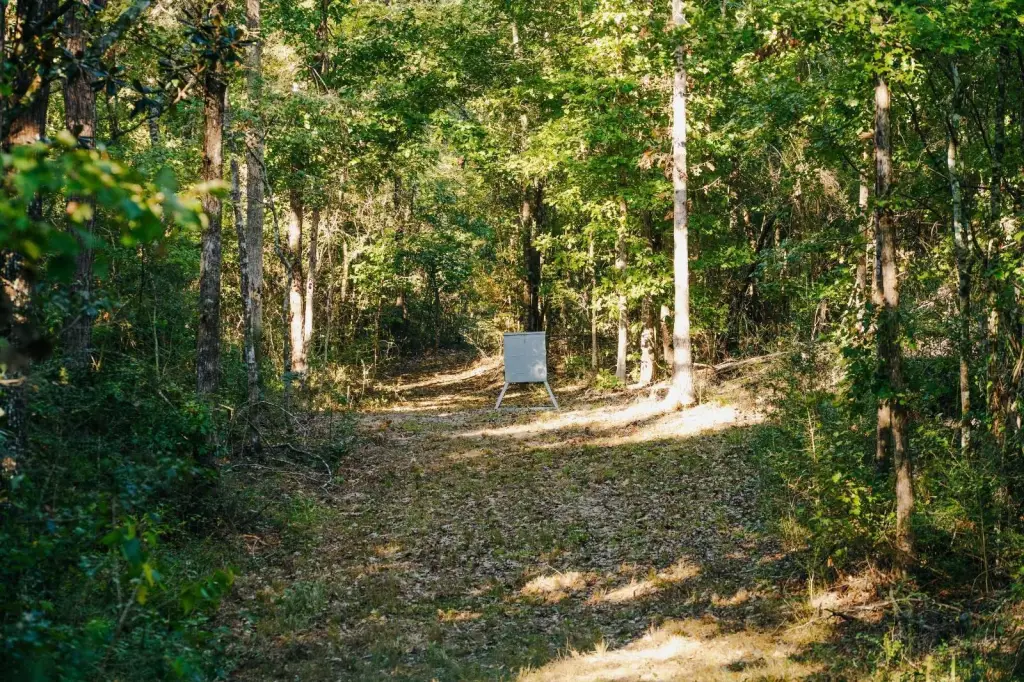 Picture 31