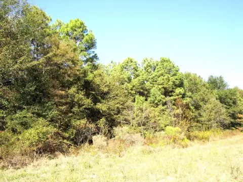 Commercial Land