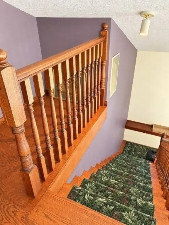 Picture 12