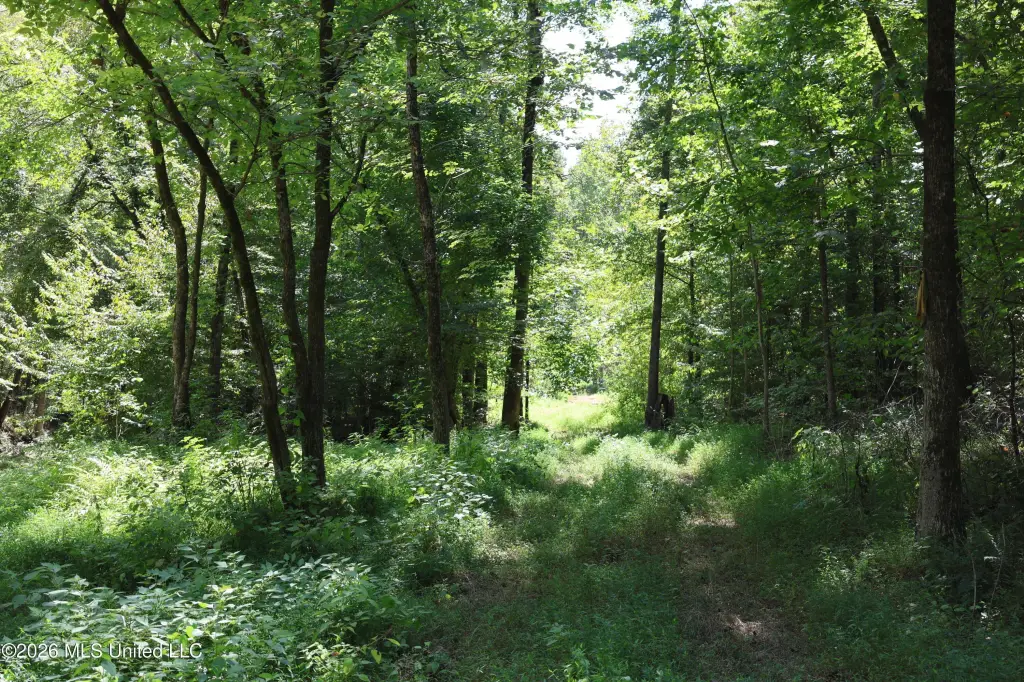 Picture 28
