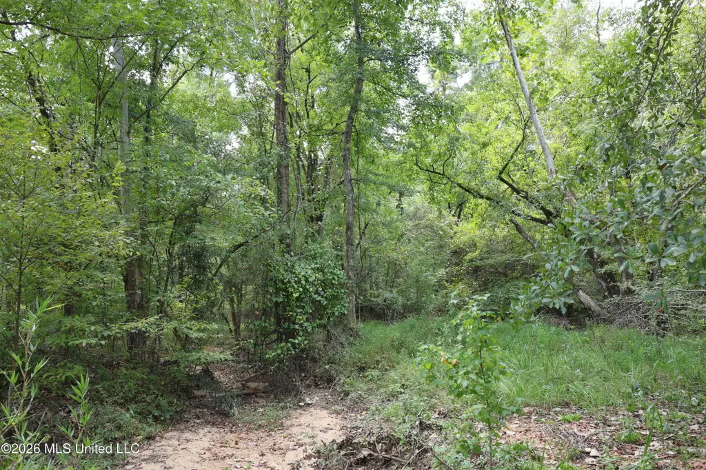 Picture 30