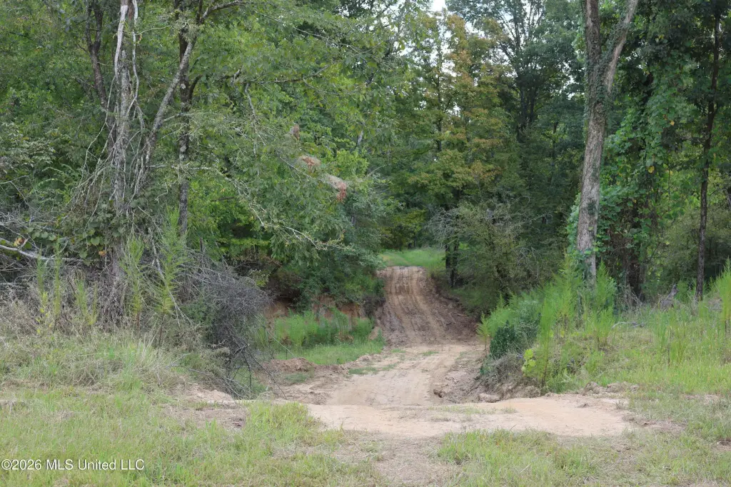 Picture 33