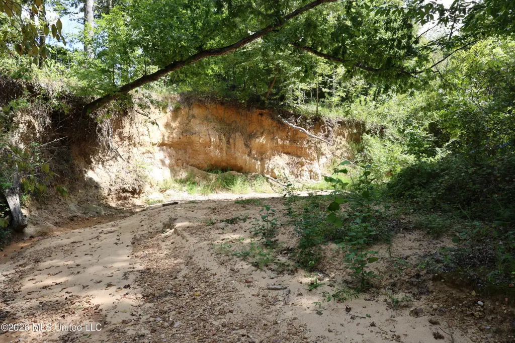 Picture 19