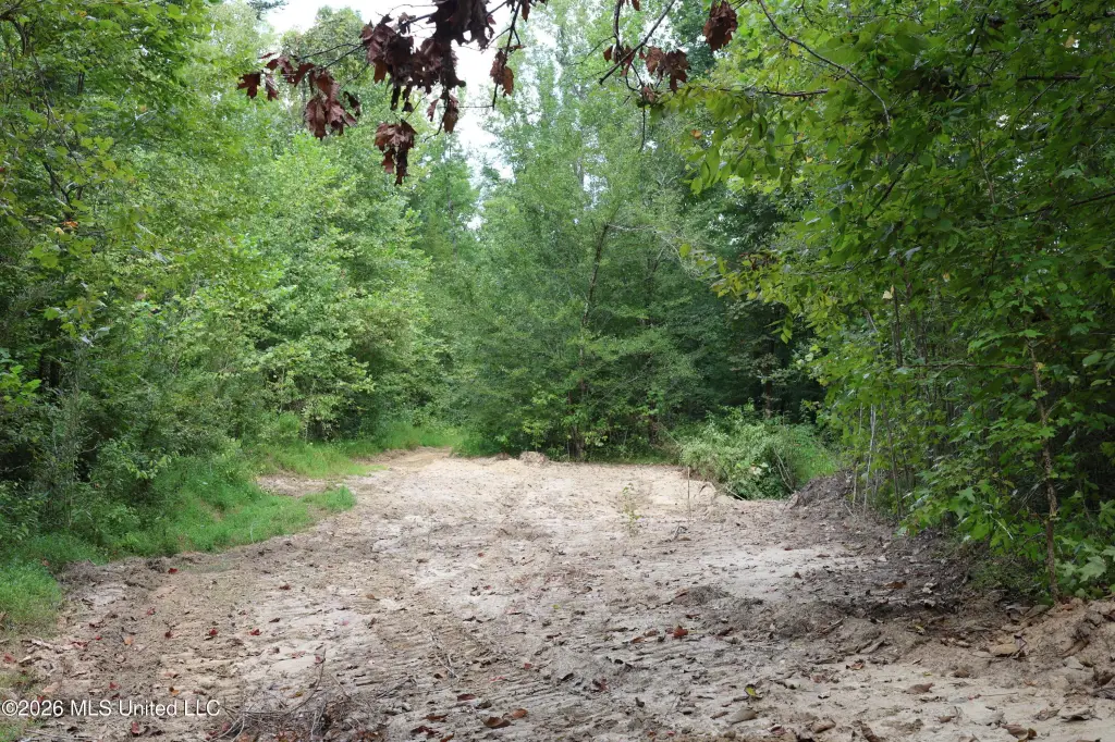 Picture 14