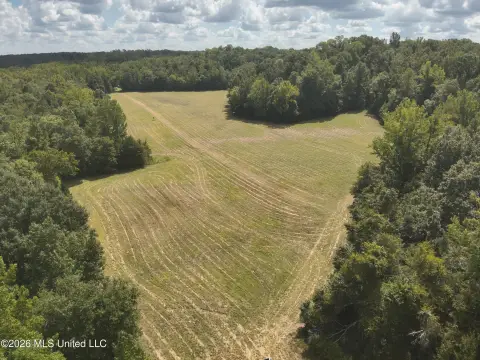 Wooded Land with Open Fields