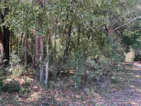 Pensacola Residential Lot Opportunity