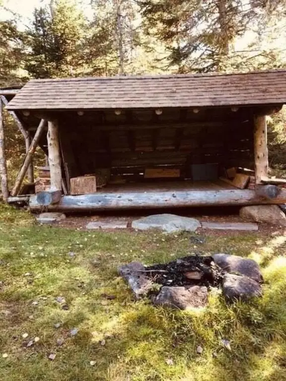 Picture 15