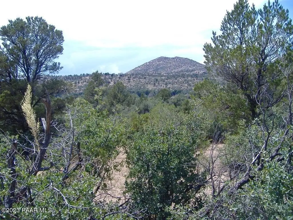 Picture 31