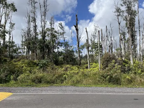 Land in Growing Ainaloa Community