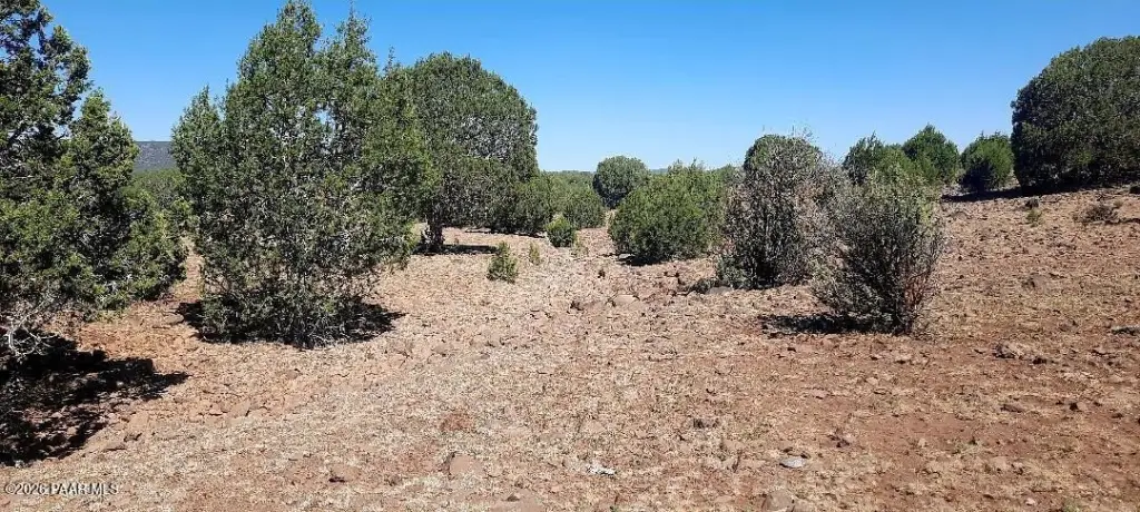 Picture 17