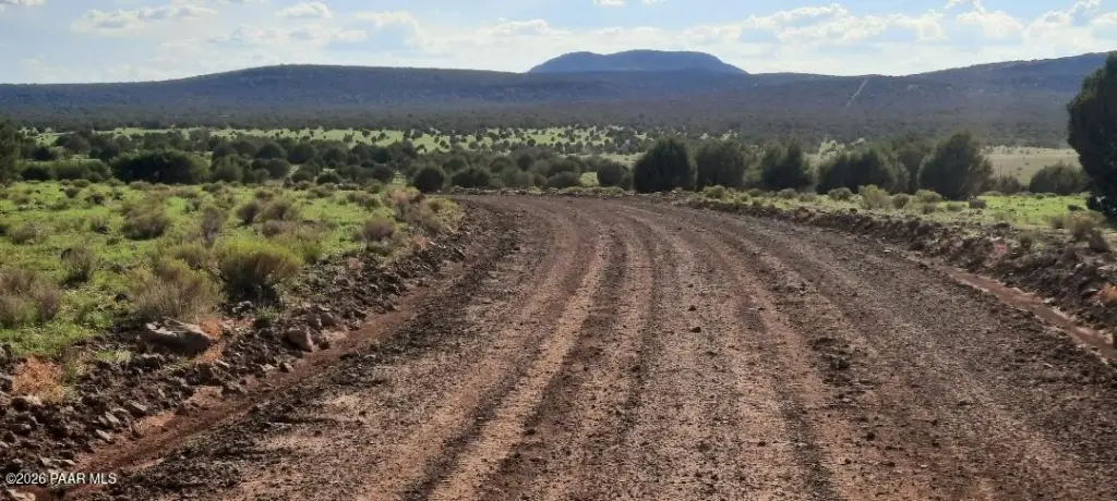 Picture 23