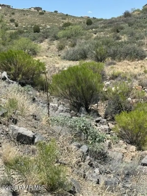 Picture 13