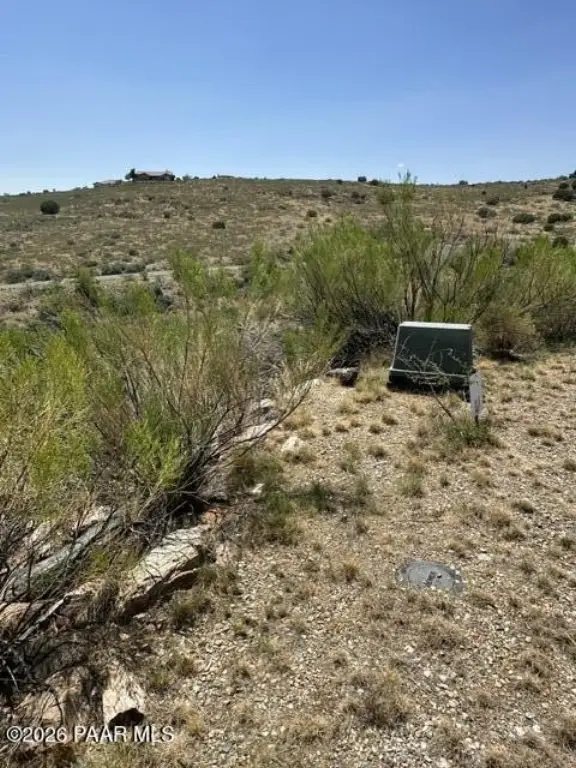 Picture 16