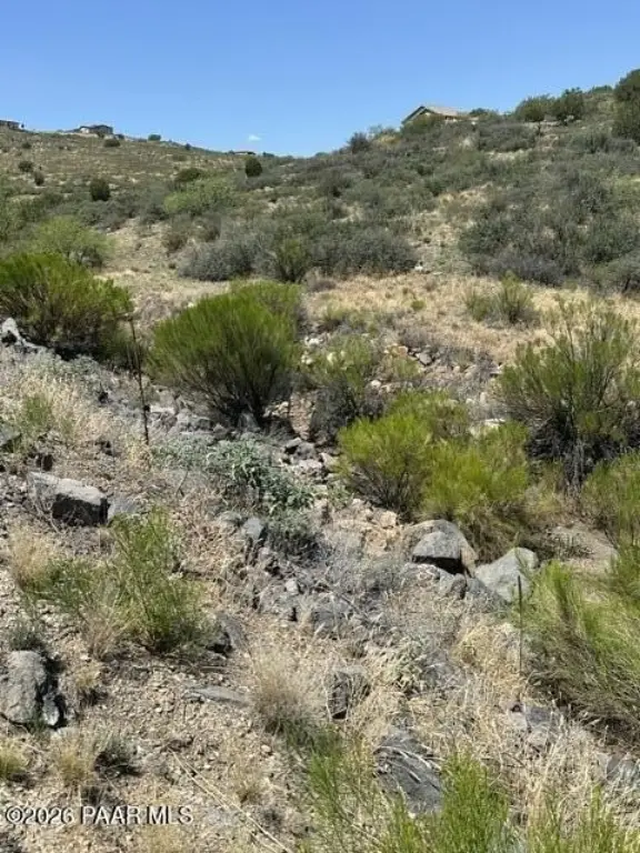Picture 14