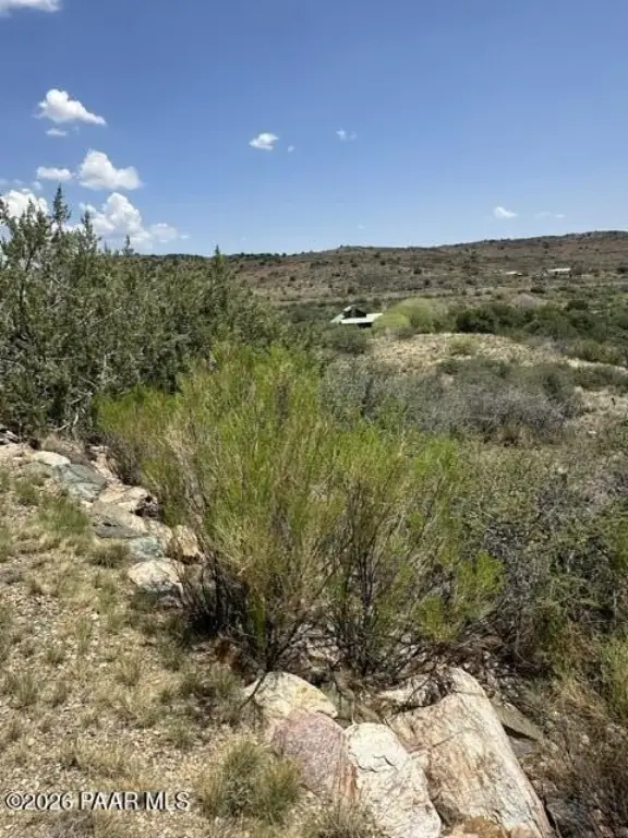 Picture 20