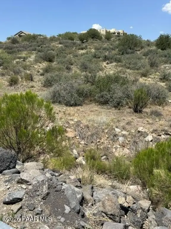 Picture 17