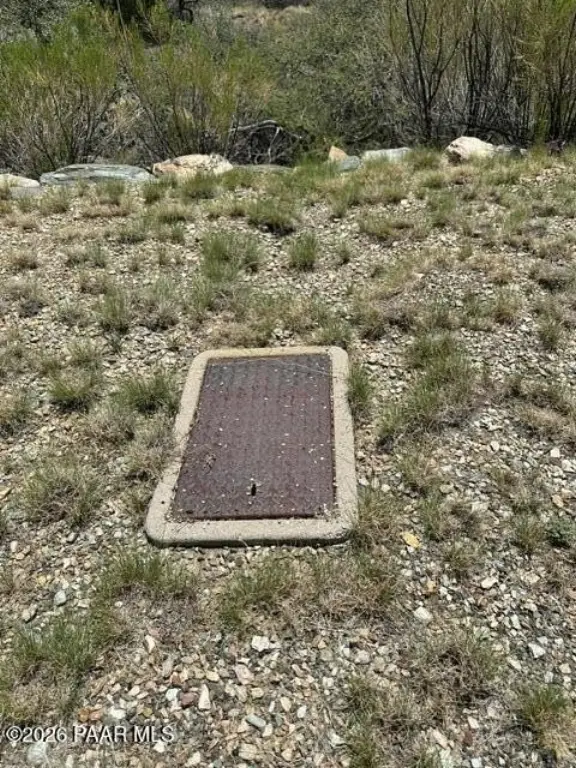 Picture 8