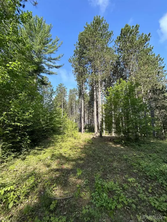 Picture 15