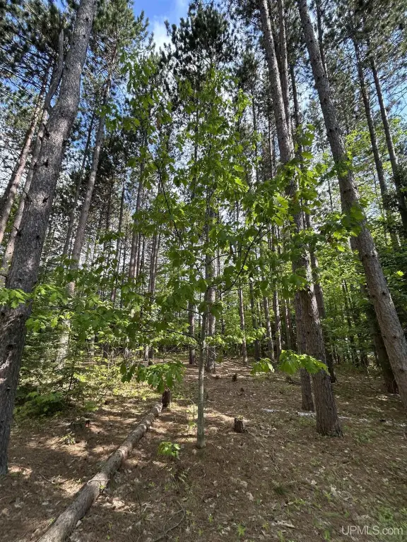Picture 9