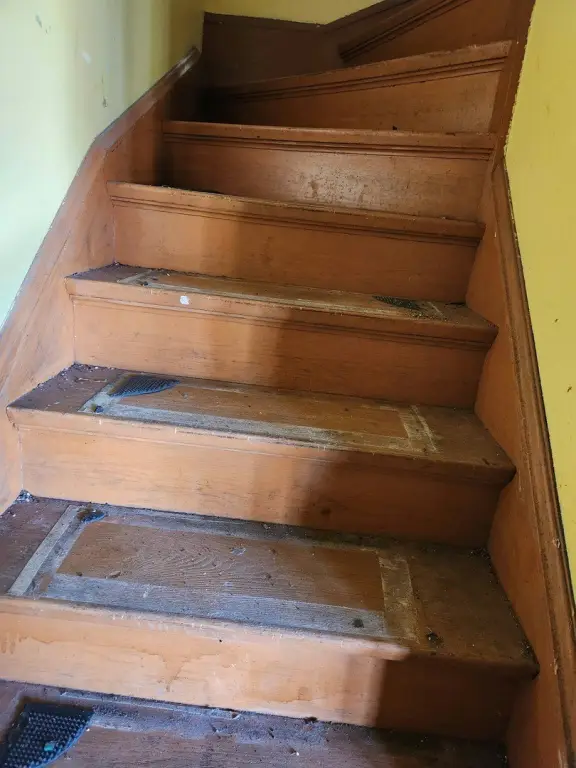 Picture 8