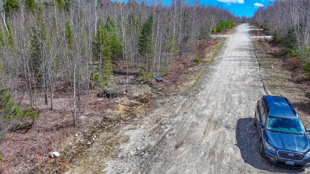 Picture 31
