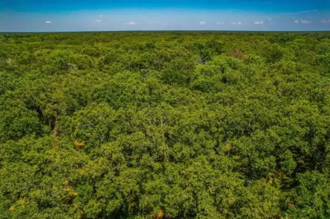 5 Acre Homestead in Point