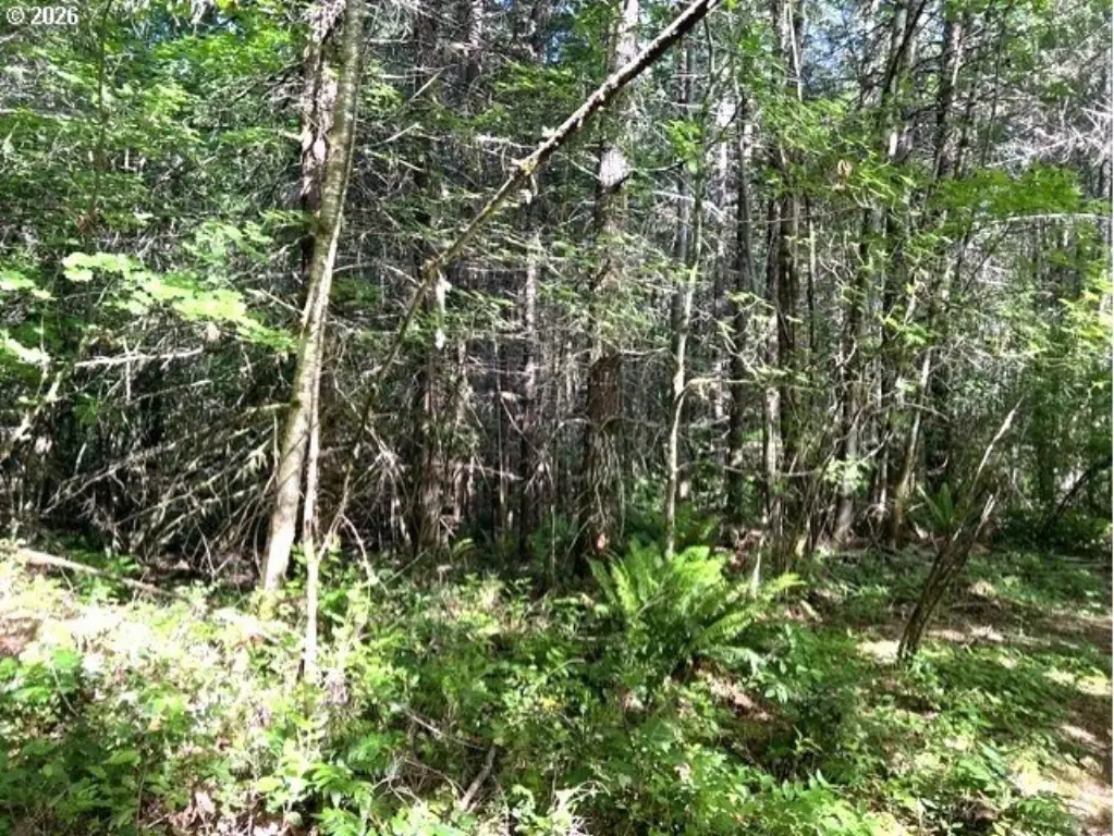 Picture 18