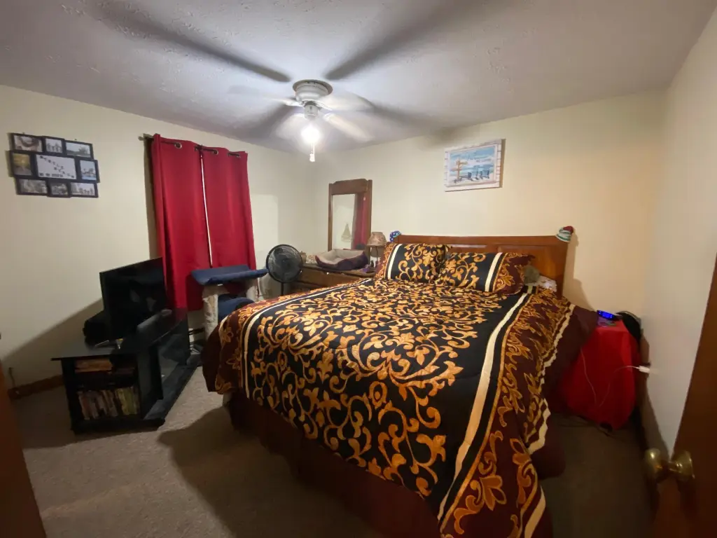 Picture 41