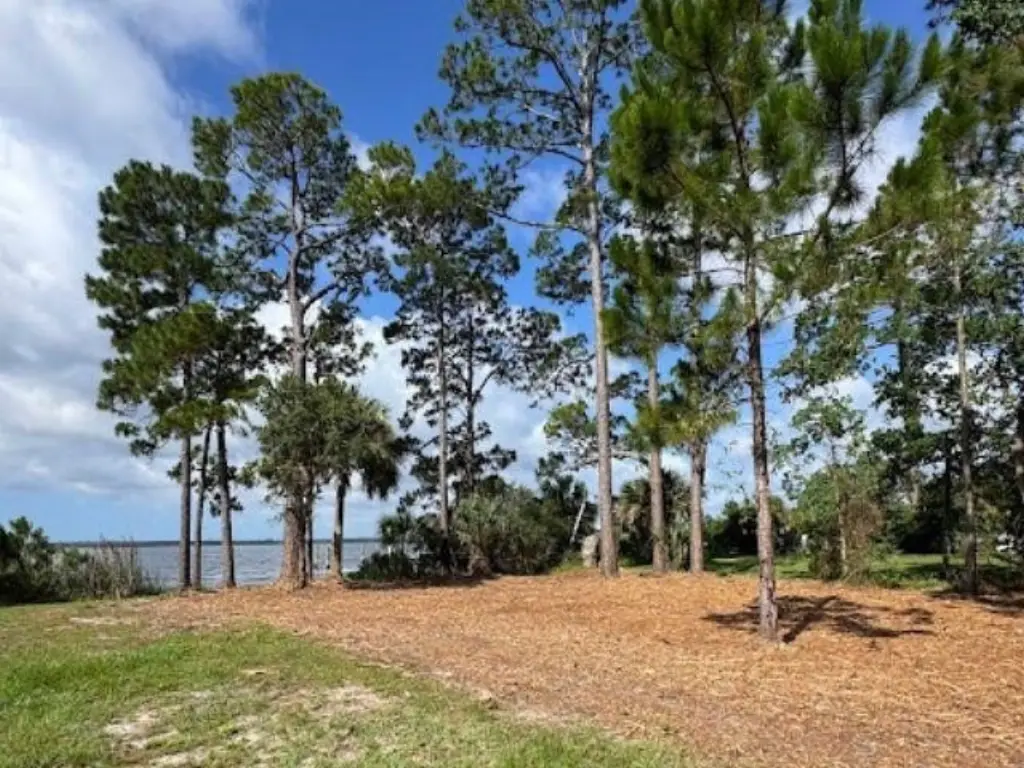 Picture 6