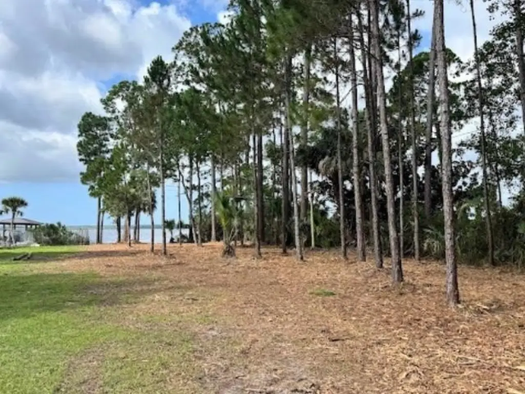 Picture 5