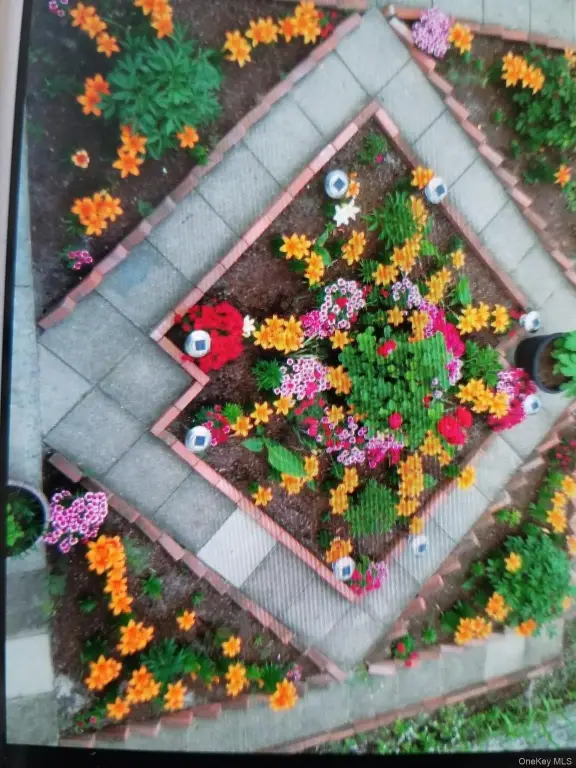 Picture 15